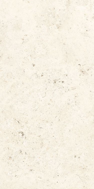 Lightstones.03 Shell Soft Touch 24 x 48